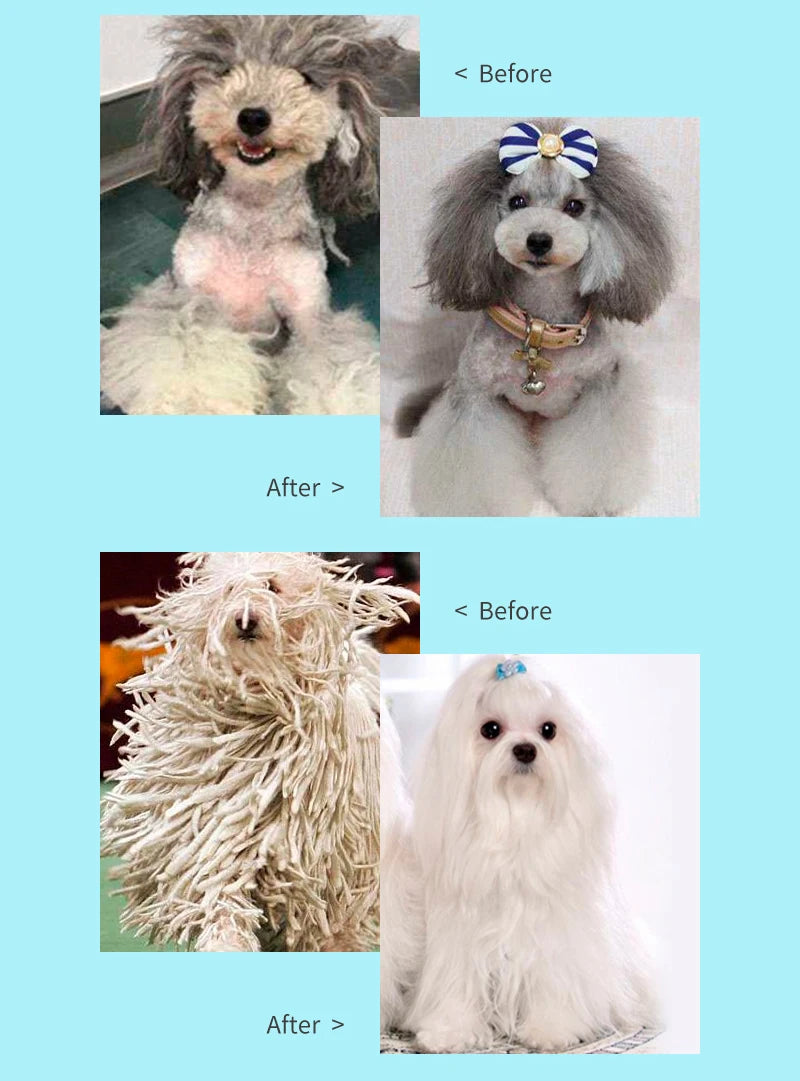 Pet Shampoo And Conditioner 2 In 1 Natural Moisturizing Shampoo Moisturizing Dog Shampoo For Sensitive Skin PH Balanced Shampoo