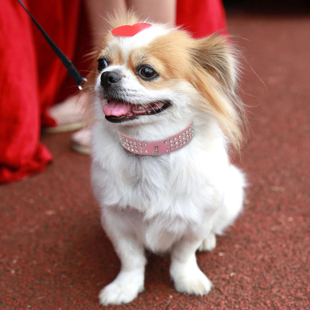 Rhinestone Dog Collar 3 Rows Suede Leather Diamante Cat Puppy Collars 5 Colors For Small Medium Dogs Chihuahua Yorkshire