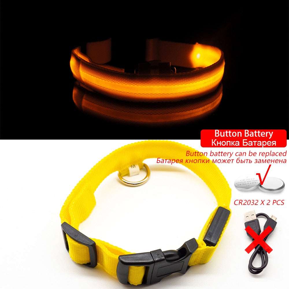 Light Up Collars Australiandogbrokers.com.au