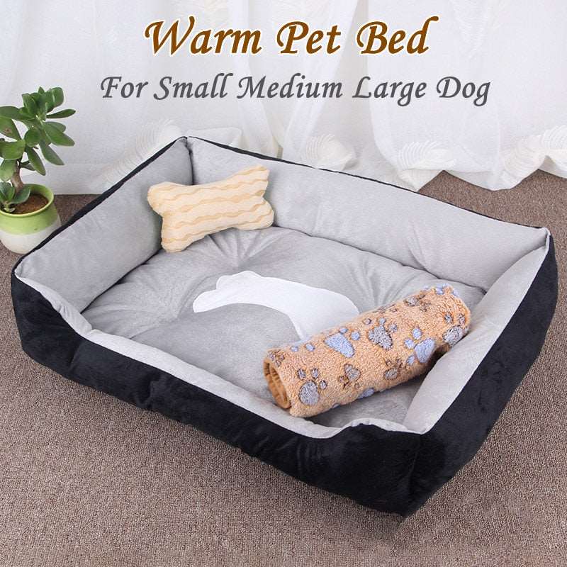 Dog Sofa Australiandogbrokers.com.au