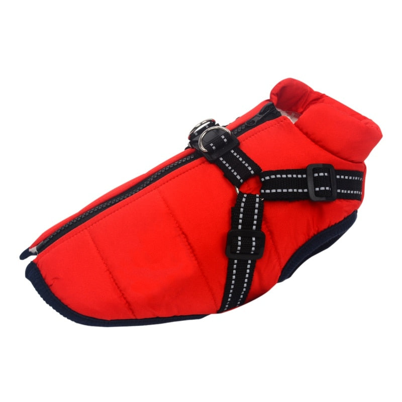 Dog Jacket with Built in Harness Australiandogbrokers.com.au