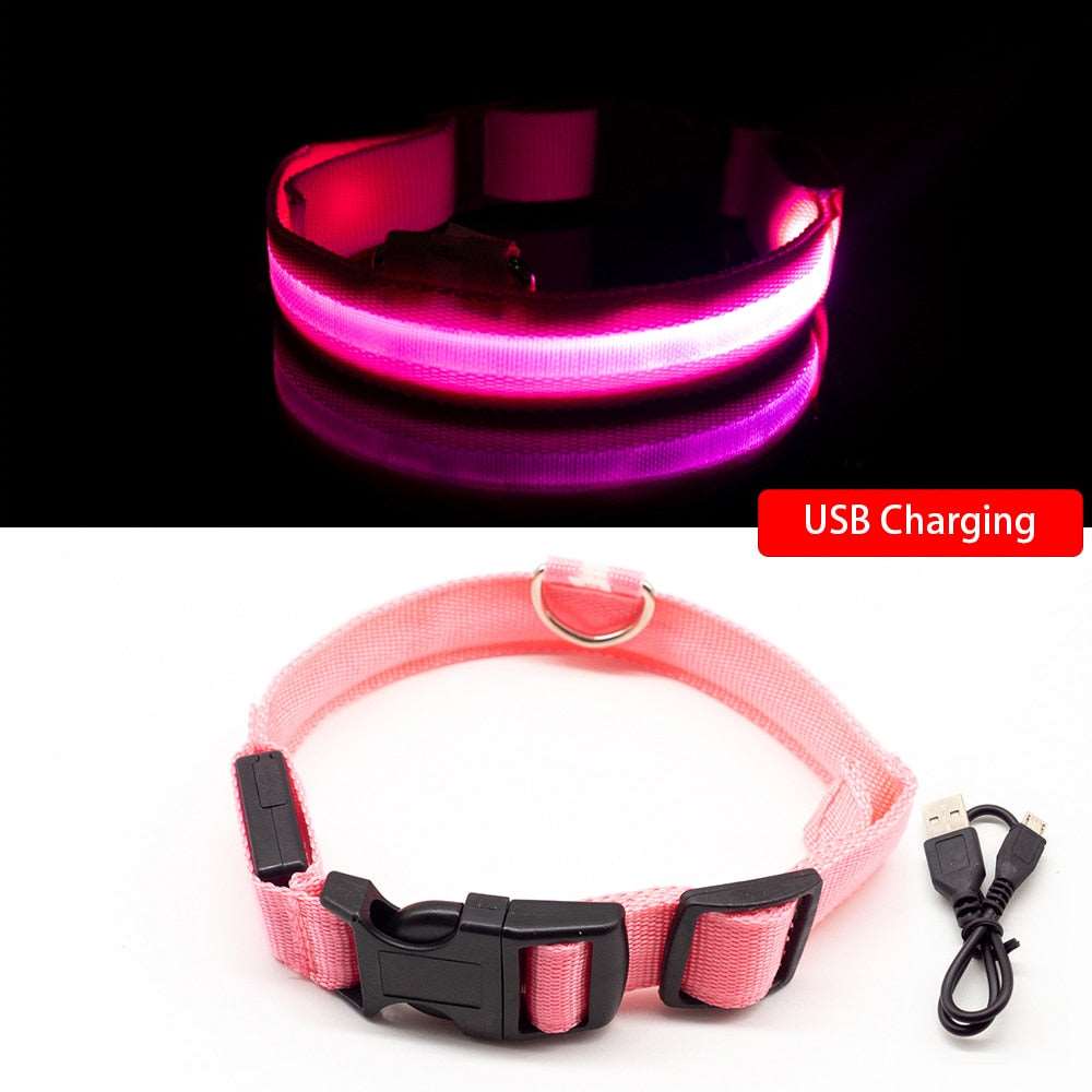 Light Up Collars Australiandogbrokers.com.au