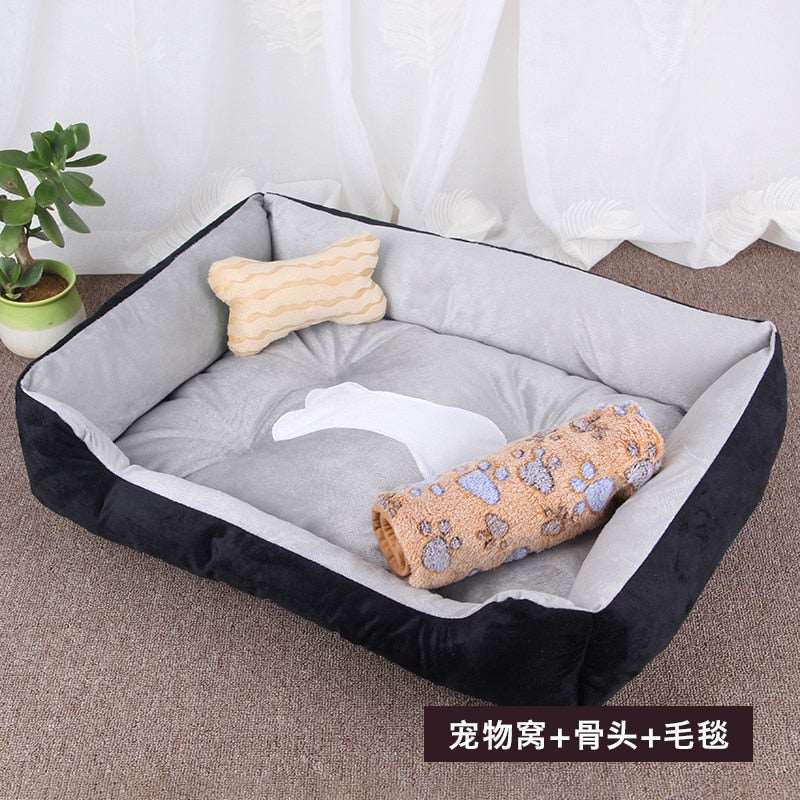 Dog Sofa Australiandogbrokers.com.au