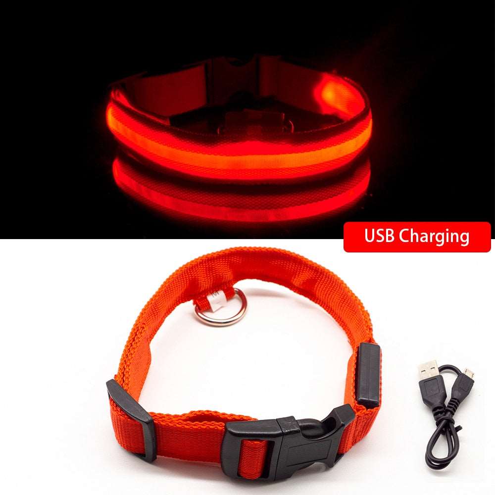 Light Up Collars Australiandogbrokers.com.au