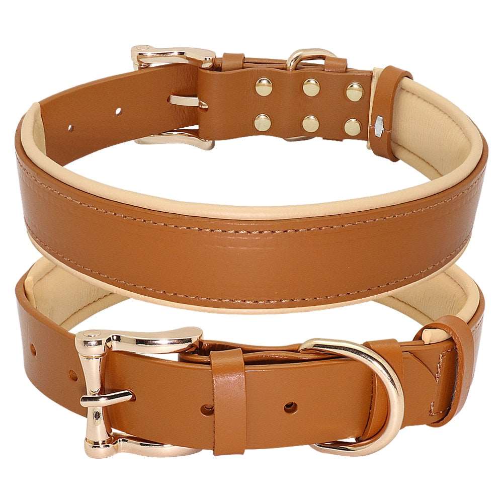 Leather Collars Australiandogbrokers.com.au