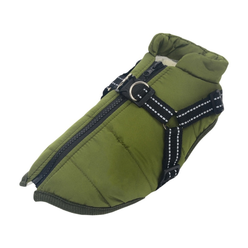 Dog Jacket with Built in Harness Australiandogbrokers.com.au