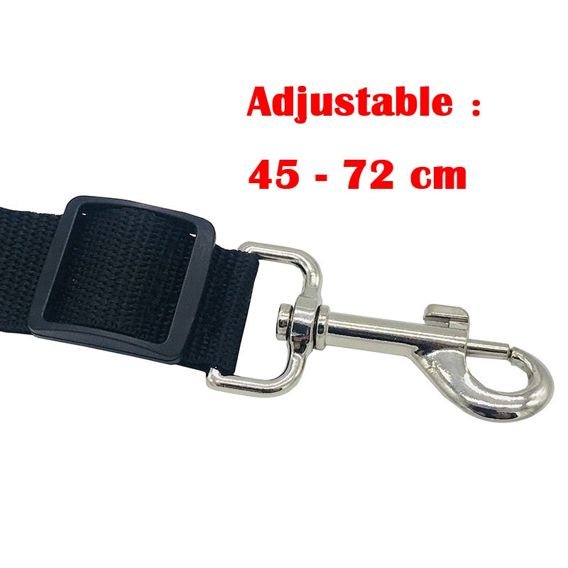 Seat belt for dogs Australiandogbrokers.com.au