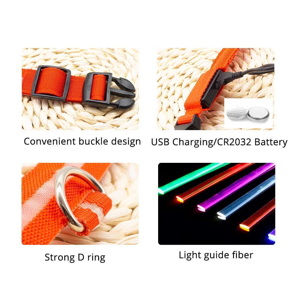 Light Up Collars Australiandogbrokers.com.au