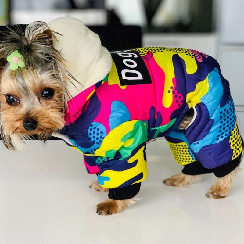 Dog hoodie Australiandogbrokers.com.au
