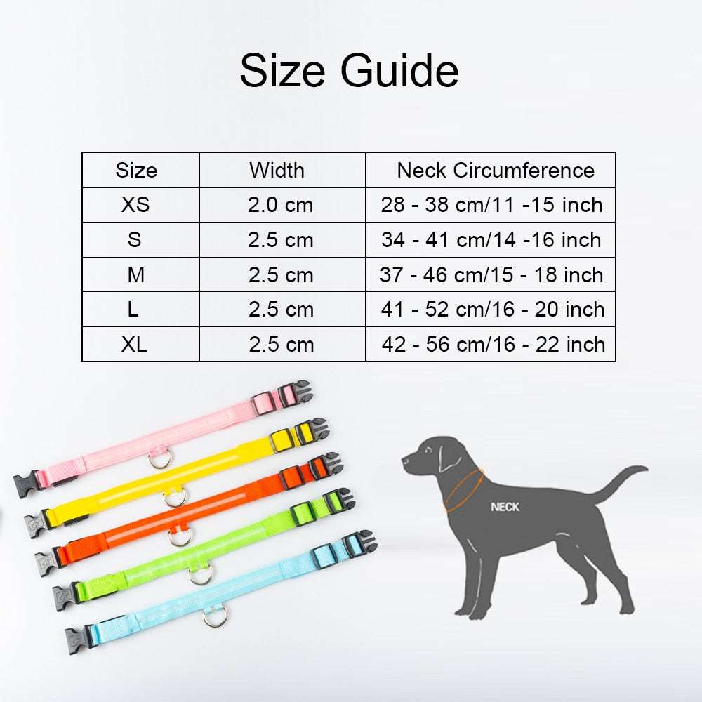 Light Up Collars Australiandogbrokers.com.au