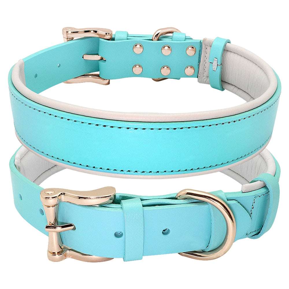 Leather Collars Australiandogbrokers.com.au