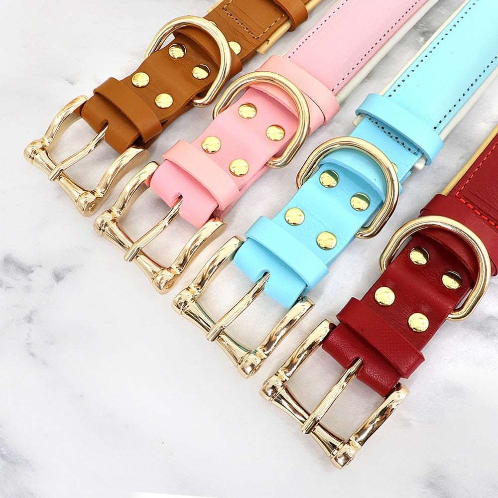 Leather Collars Australiandogbrokers.com.au