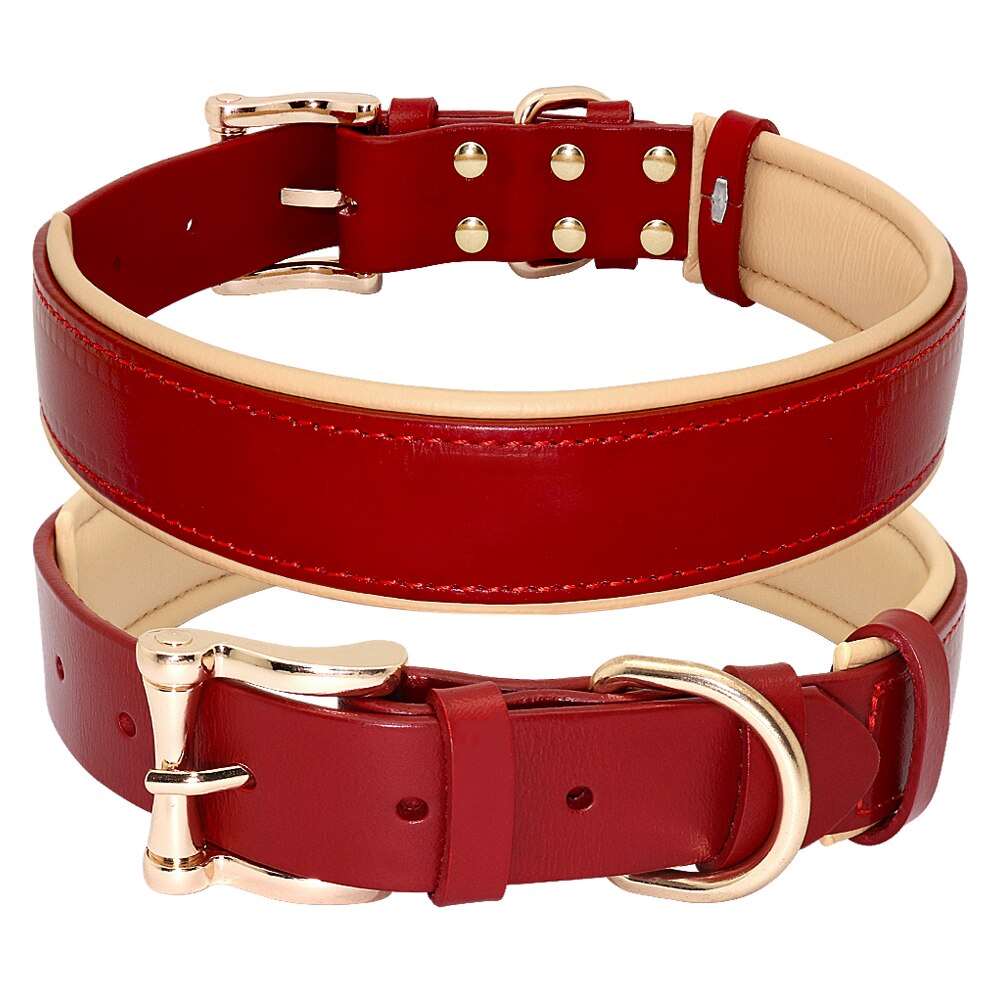 Leather Collars Australiandogbrokers.com.au