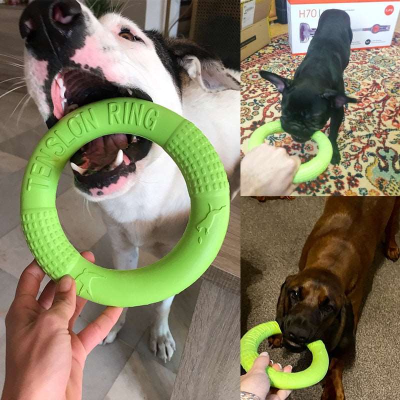 Dog Toys for Big Dogs Australiandogbrokers.com.au