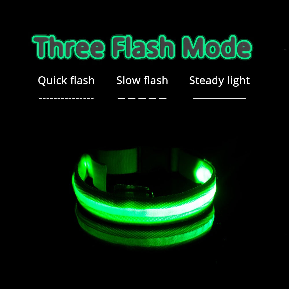 Light Up Collars Australiandogbrokers.com.au