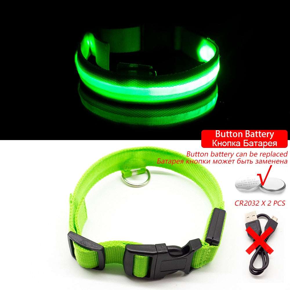 Light Up Collars Australiandogbrokers.com.au