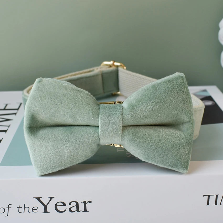 Nylon Luxury Dog Collar Leash With Bow Tie