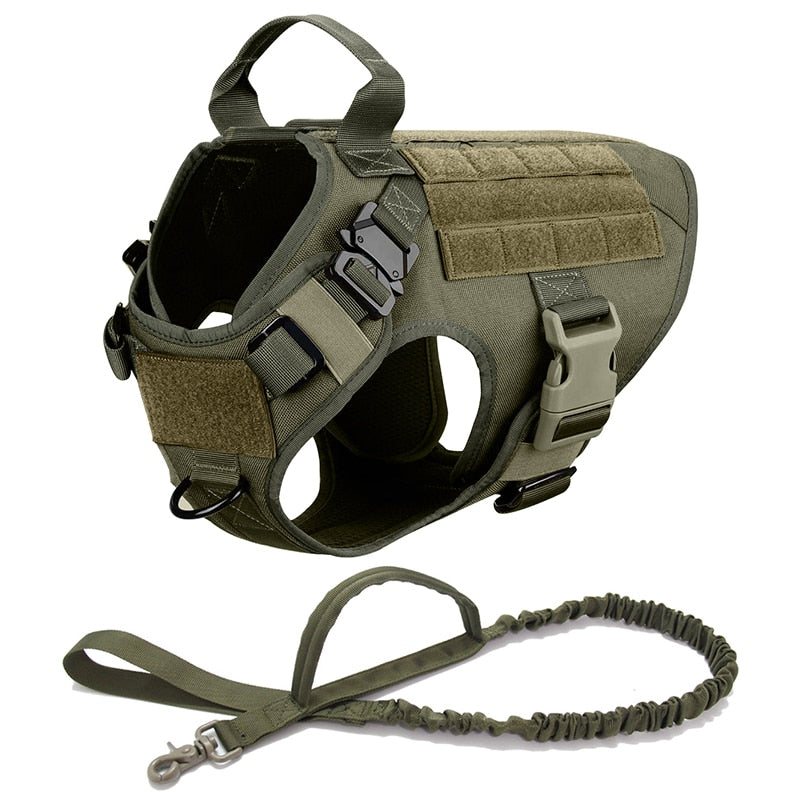 Military Harness Plus Accessories Australiandogbrokers.com.au
