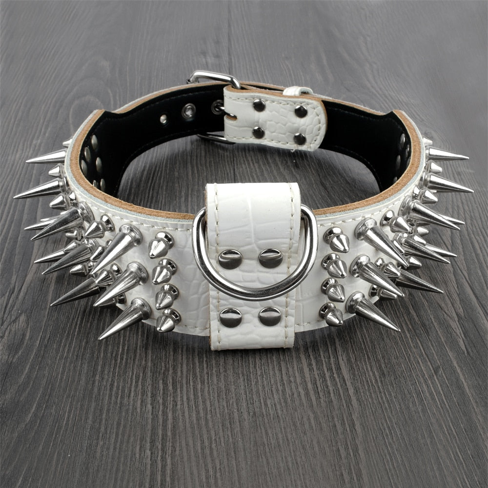 2.0" Wide Luxurious Leather Dog Collar Australiandogbrokers.com.au