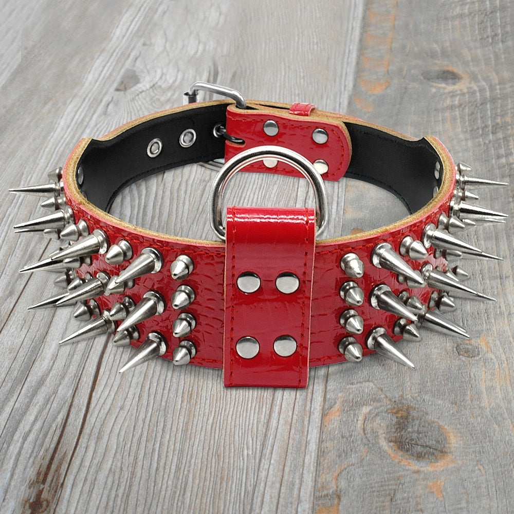 2.0" Wide Luxurious Leather Dog Collar Australiandogbrokers.com.au