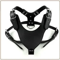 3 inch Wide Spikes Studded Leather Pet Dog Collar for Large Breeds Pitbull Doberman M L XL Sizes