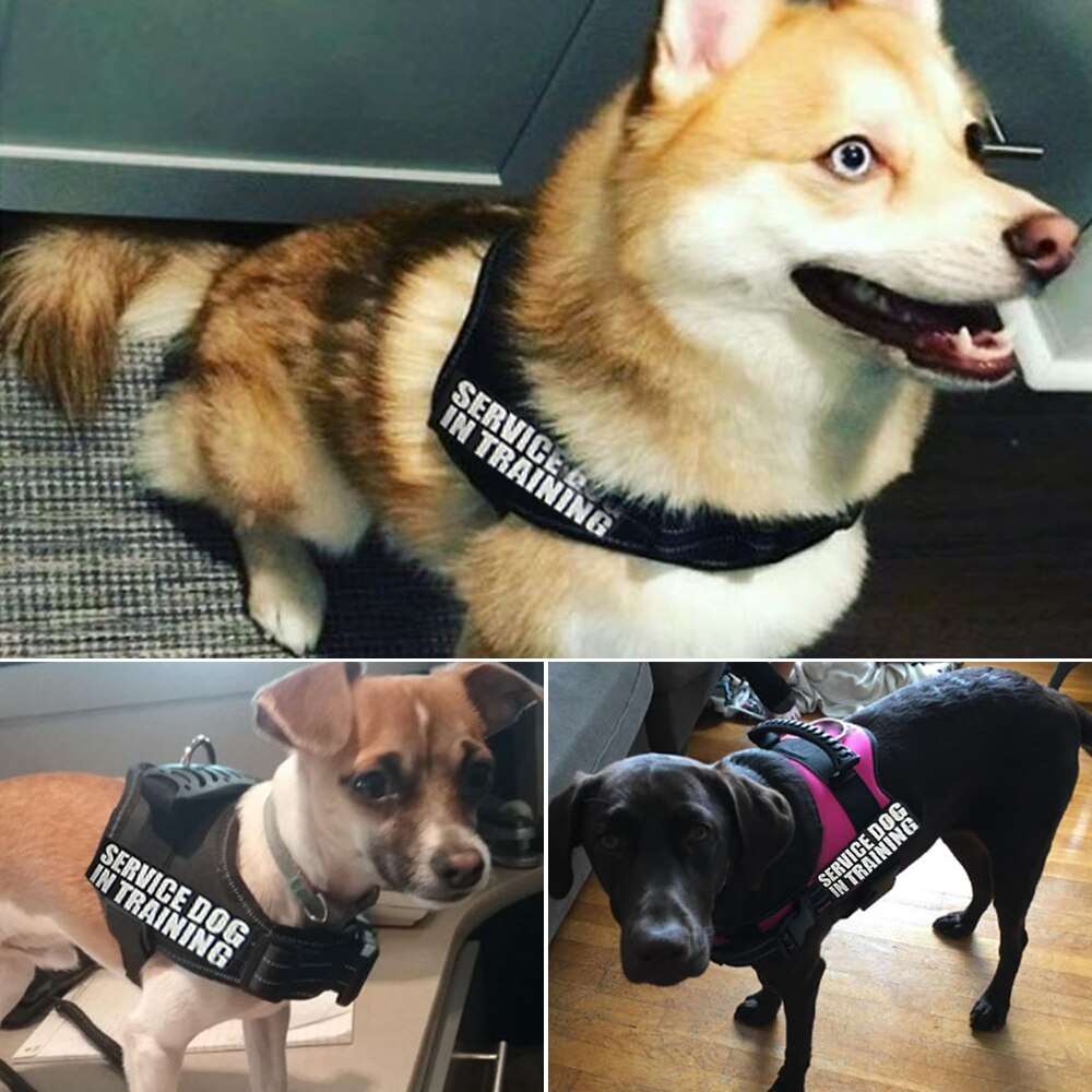 Dog harness Nylon reflective vest Australiandogbrokers.com.au