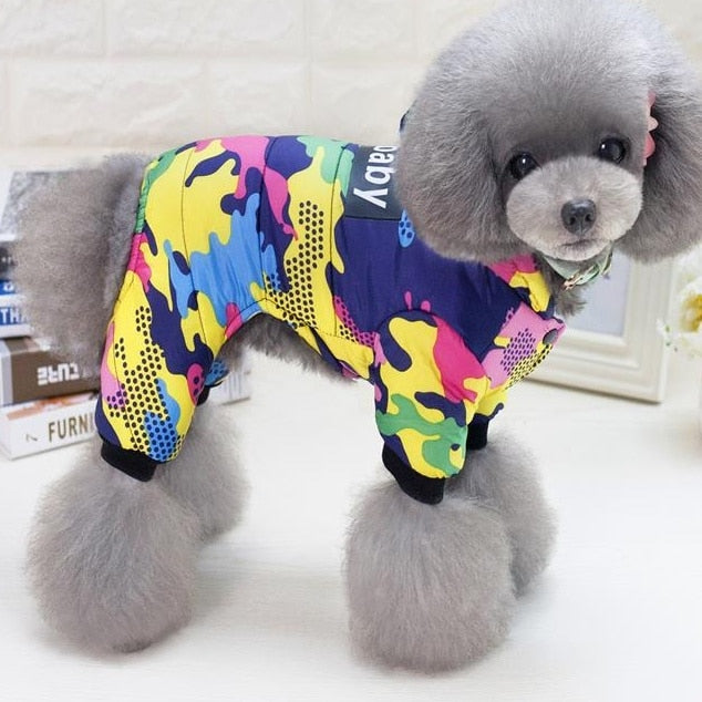 Dog hoodie Australiandogbrokers.com.au