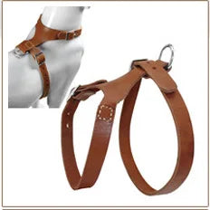 3 inch Wide Spikes Studded Leather Pet Dog Collar for Large Breeds Pitbull Doberman M L XL Sizes