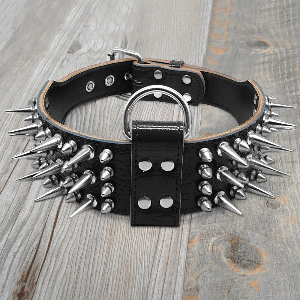 2.0" Wide Luxurious Leather Dog Collar Australiandogbrokers.com.au