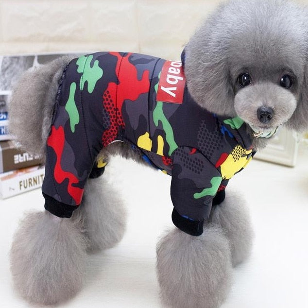 Dog hoodie Australiandogbrokers.com.au