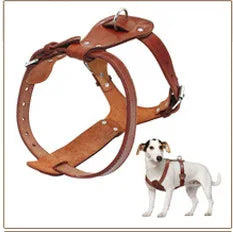 3 inch Wide Spikes Studded Leather Pet Dog Collar for Large Breeds Pitbull Doberman M L XL Sizes