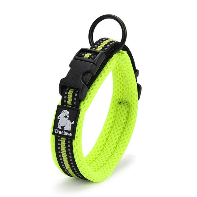 Soft Padded Mesh Dog Collar Australiandogbrokers.com.au