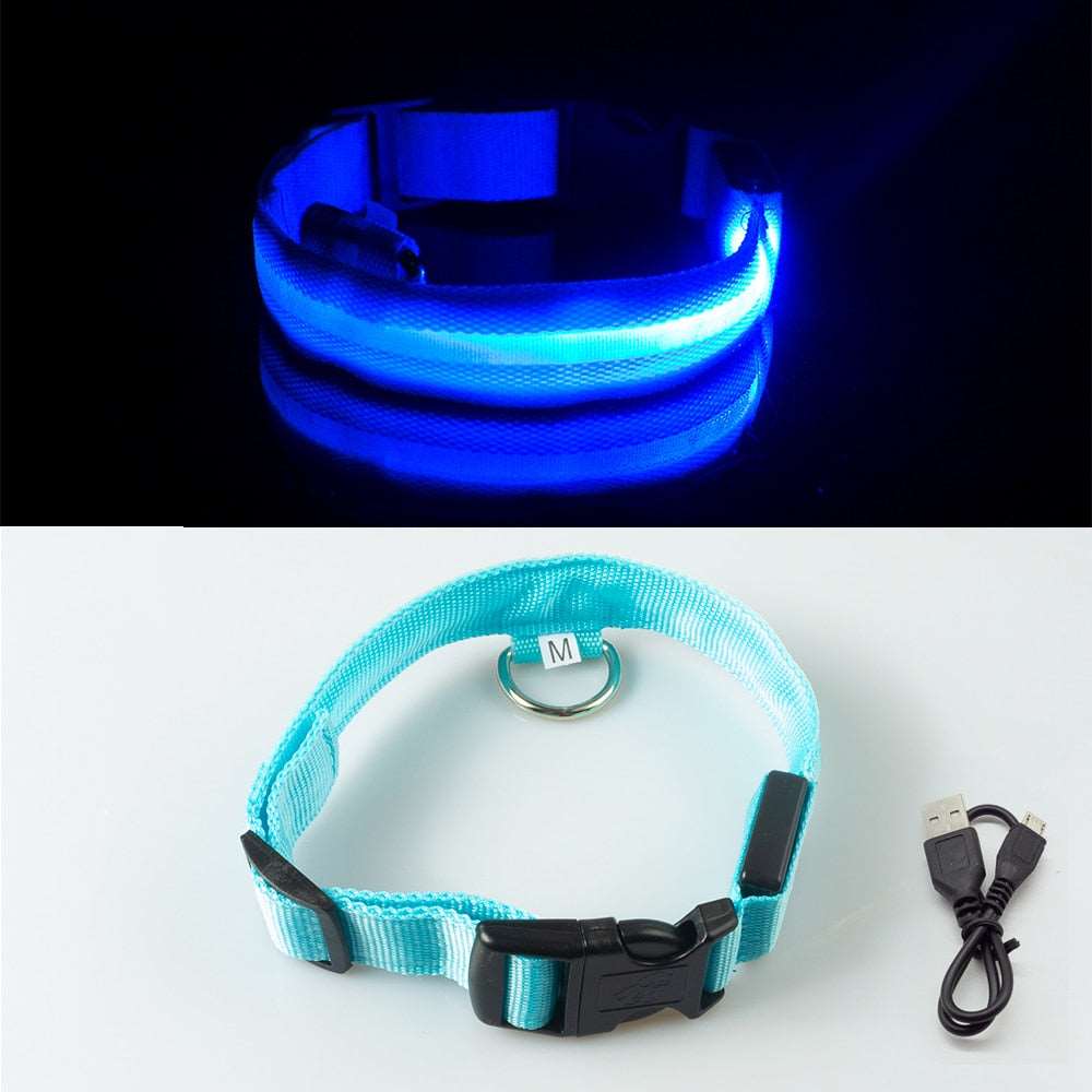 Light Up Collars Australiandogbrokers.com.au