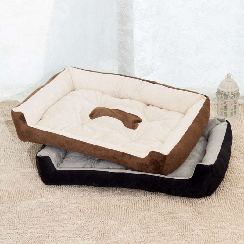 Dog Sofa Australiandogbrokers.com.au