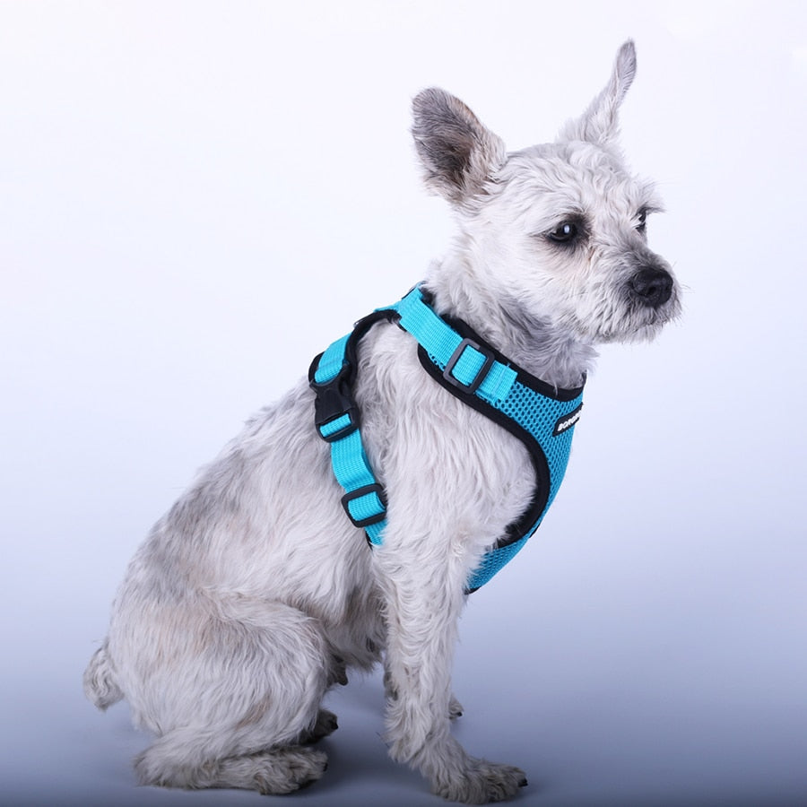Breathable Dog Vest Australiandogbrokers.com.au