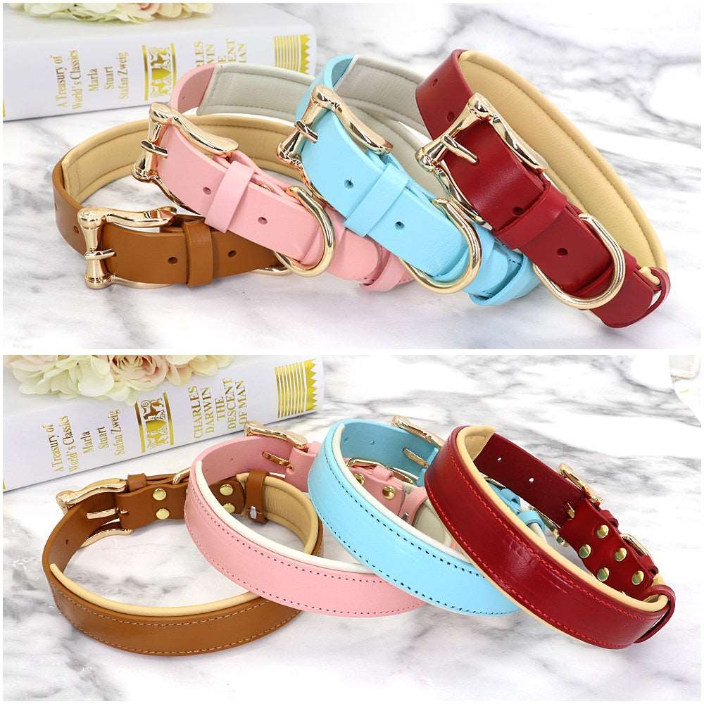 Leather Collars Australiandogbrokers.com.au