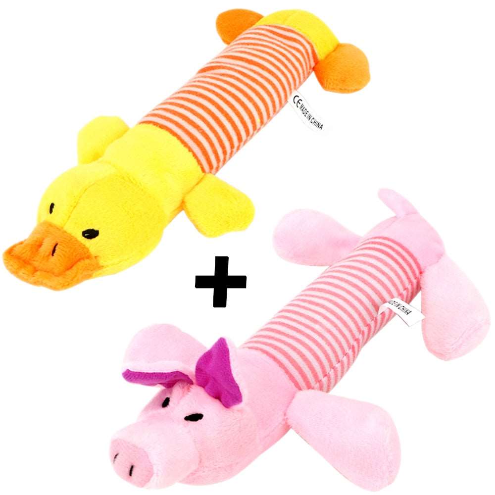 Squeak Chew Dog Toy Australiandogbrokers.com.au