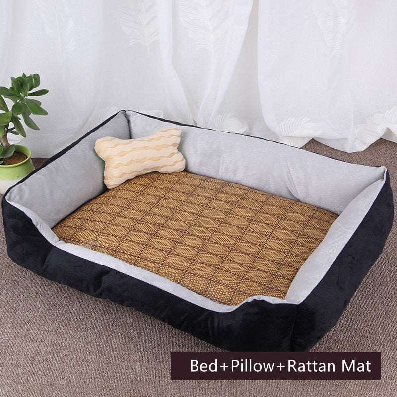 Dog Sofa Australiandogbrokers.com.au