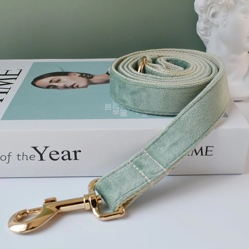 Nylon Luxury Dog Collar Leash With Bow Tie