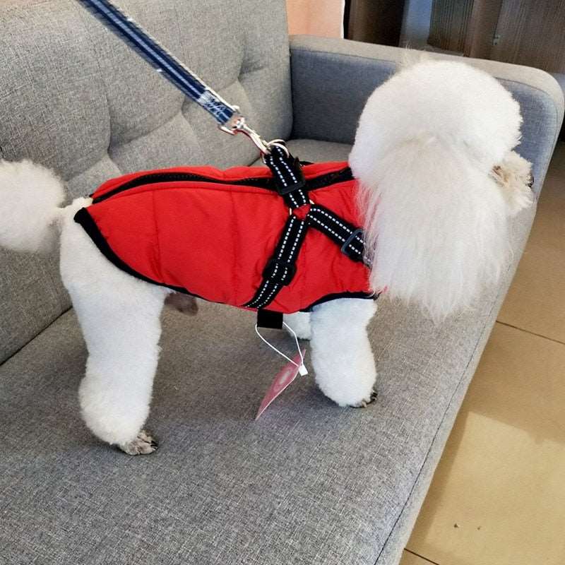 Dog Jacket with Built in Harness Australiandogbrokers.com.au