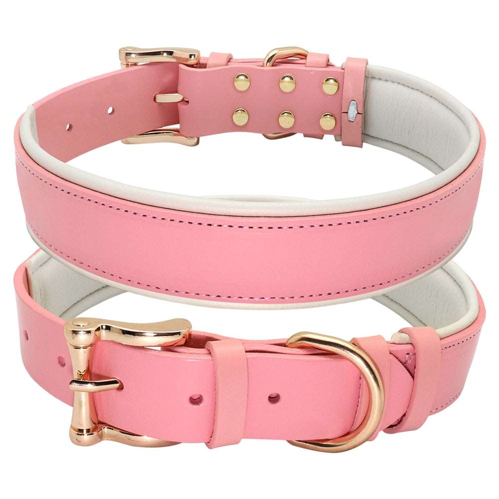 Leather Collars Australiandogbrokers.com.au