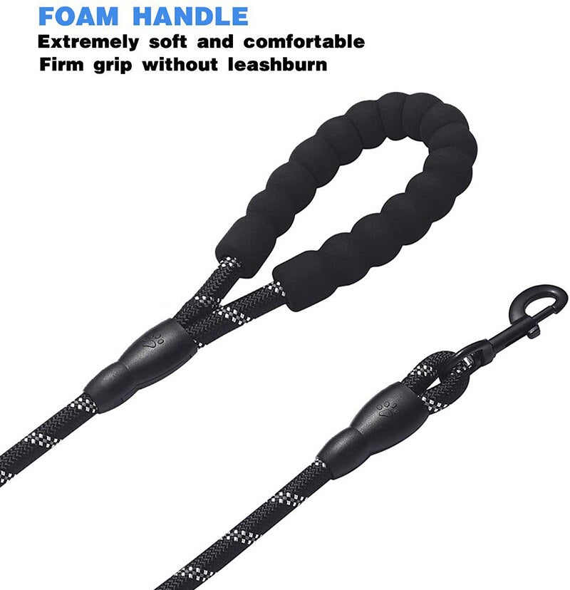 Dual Leash Australiandogbrokers.com.au