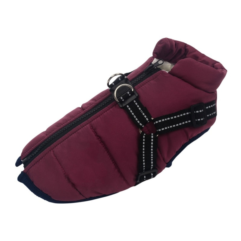 Dog Jacket with Built in Harness Australiandogbrokers.com.au
