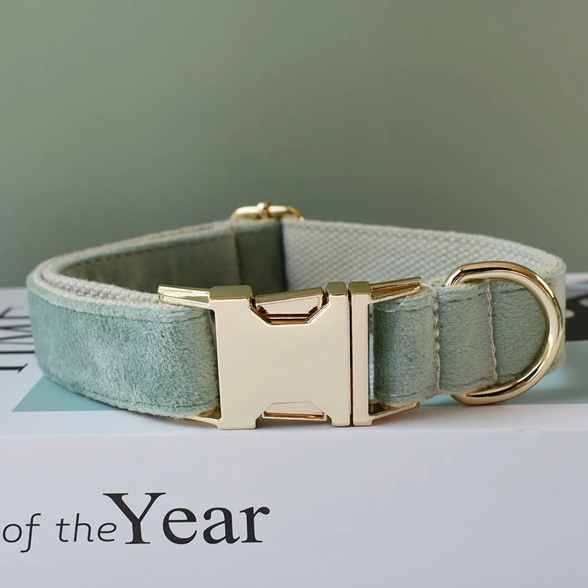 Nylon Luxury Dog Collar Leash With Bow Tie