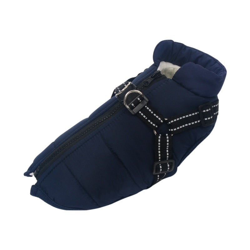 Dog Jacket with Built in Harness Australiandogbrokers.com.au