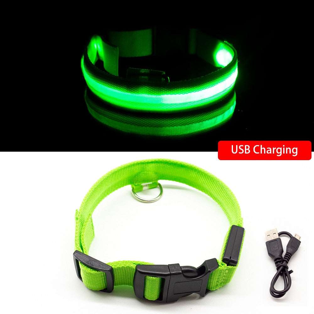 Light Up Collars Australiandogbrokers.com.au