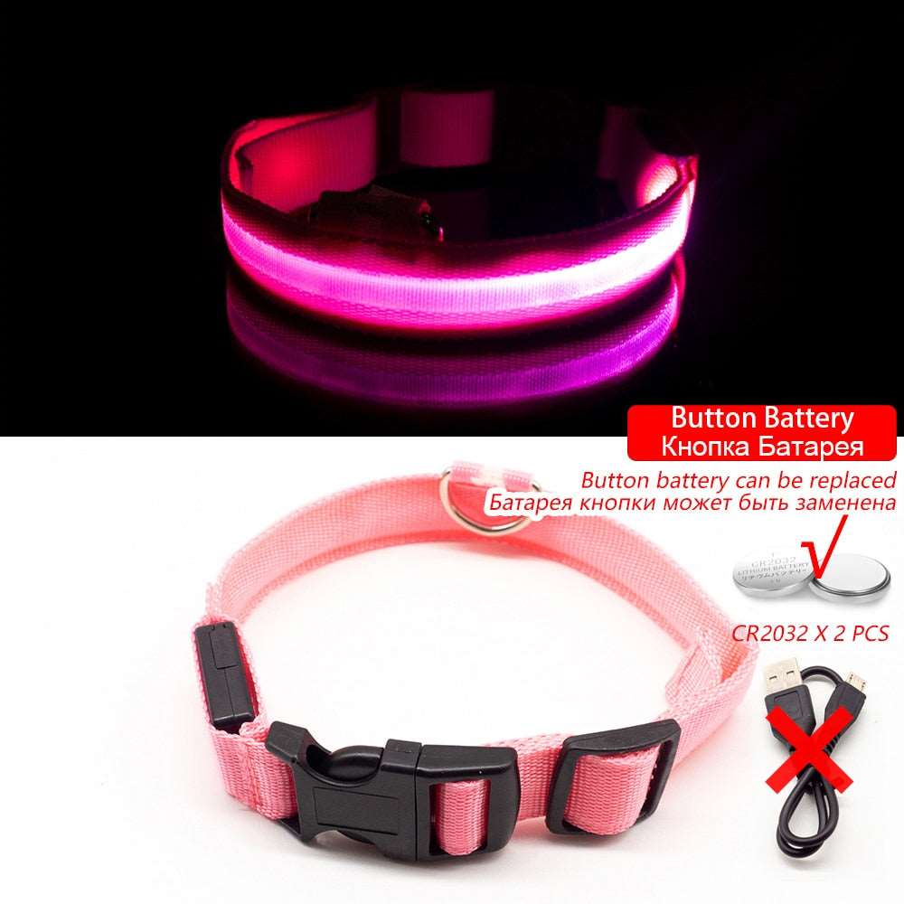 Light Up Collars Australiandogbrokers.com.au