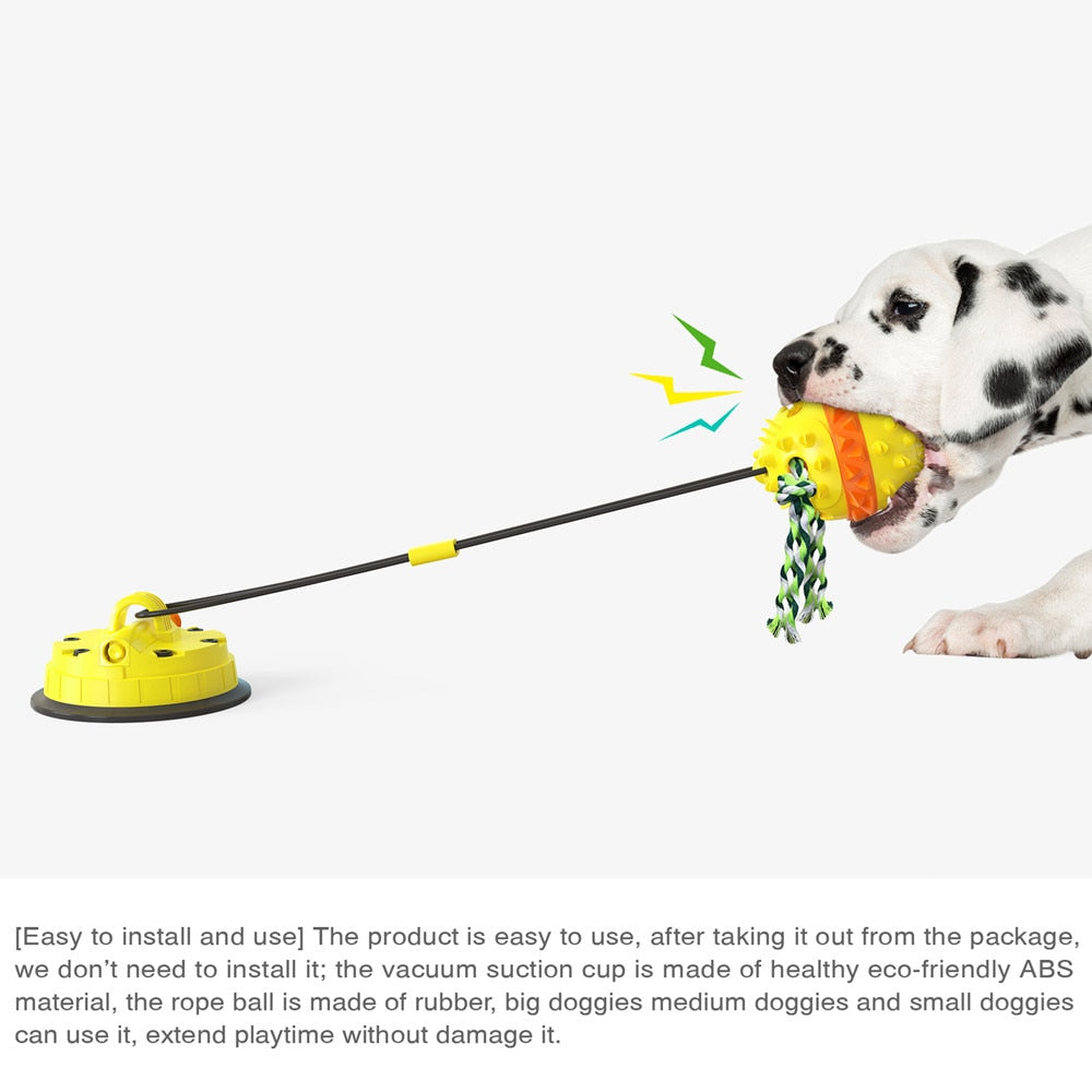 Suction Cup Tug Toy Australiandogbrokers.com.au