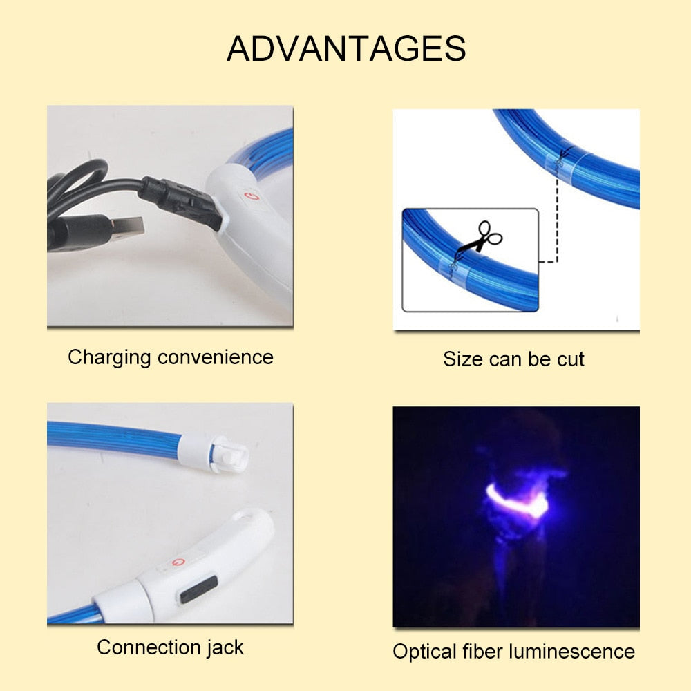 Led Dog Collar Australiandogbrokers.com.au