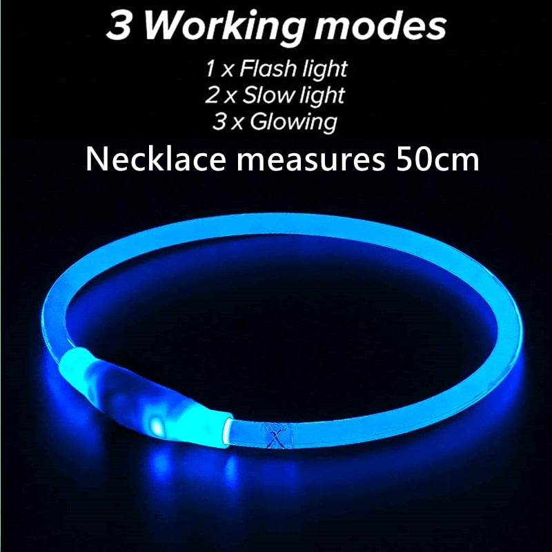 Led Dog Collar Australiandogbrokers.com.au
